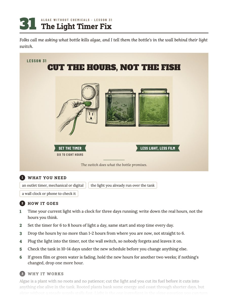 A page from the book